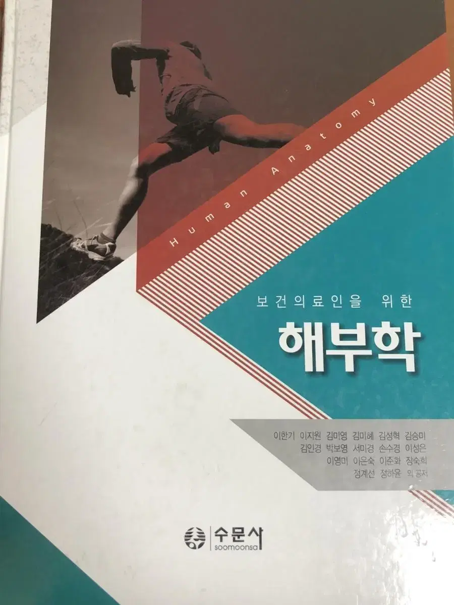 해부학 (수문사)